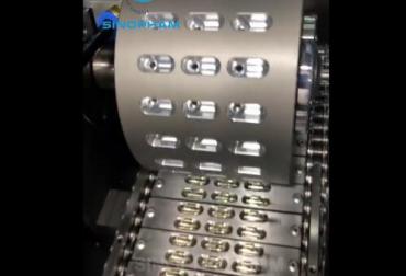 NSF-800 Hard & Liquid Capsule Sealing Machine